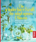 Die wunderbare Kraft der adaptogenen Pflanzen