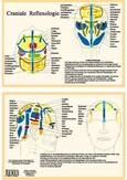 Craniale Reflexologie