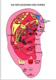 Die Reflexzonen Vom Ohr - Karte