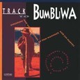 Track to Bumbliwa Audio CD