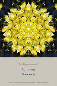 Agrimony