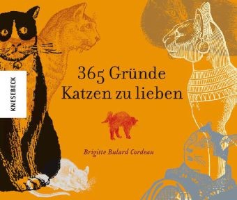 365 Gründe Katzen zu lieben