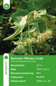 Innenansicht 1