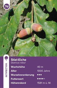Innenansicht 3