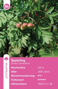 Innenansicht 4