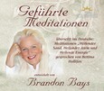 Geführte Meditationen, 1 Audio-CD