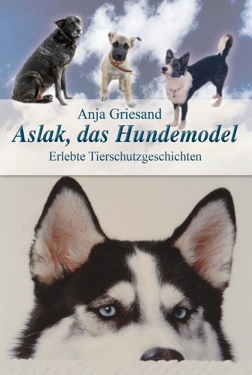 Aslak, das Hundemodel