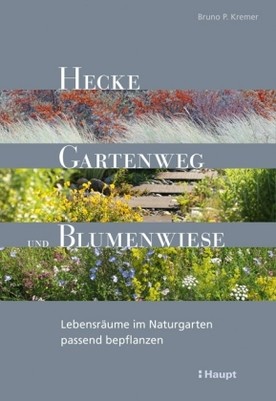 Hecke, Gartenweg und Blumenwiese