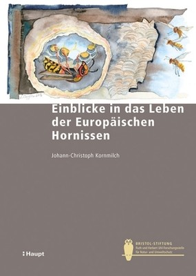 Einblicke in das Leben der Europäischen Hornissen