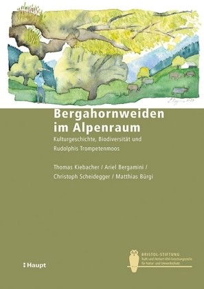 Bergahornweiden im Alpenraum