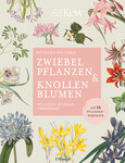 Zwiebelpflanzen & Knollenblumen