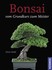 Bonsai - vom Grundkurs zum Meister