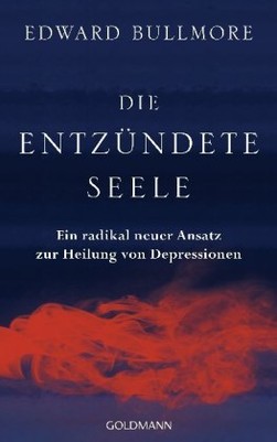 Die entzündete Seele