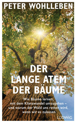 Der lange Atem der Bäume