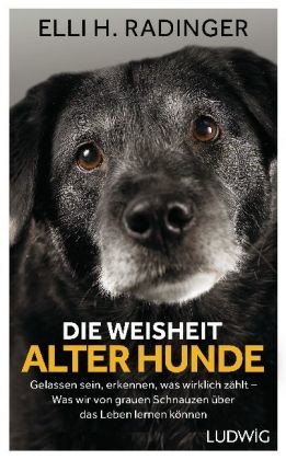 Die Weisheit alter Hunde