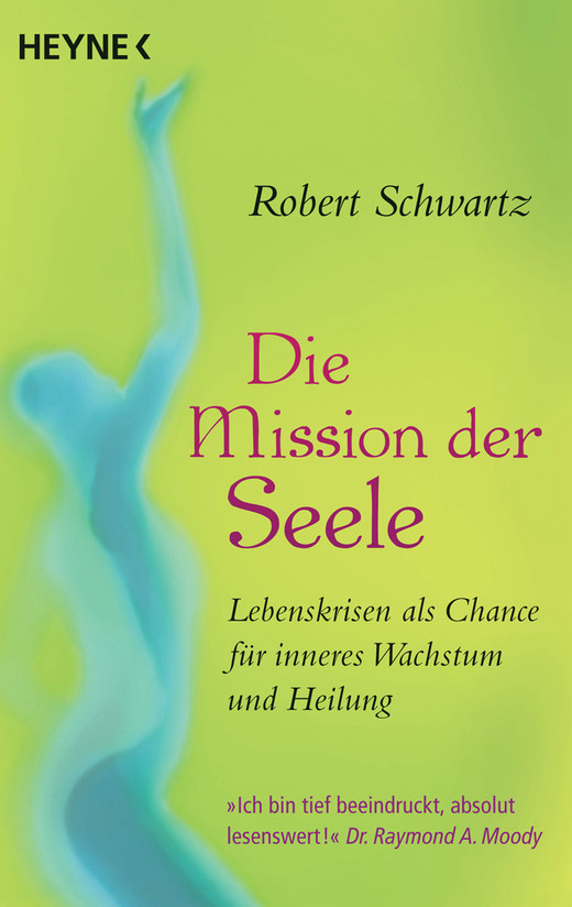 Die Mission der Seele