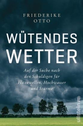 Wütendes Wetter