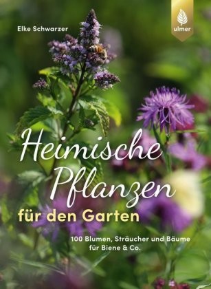 Heimische Pflanzen für den Garten