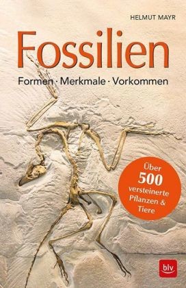 Fossilien