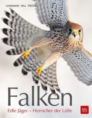 Falken