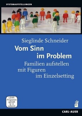 Vom Sinn im Problem, 1 DVD