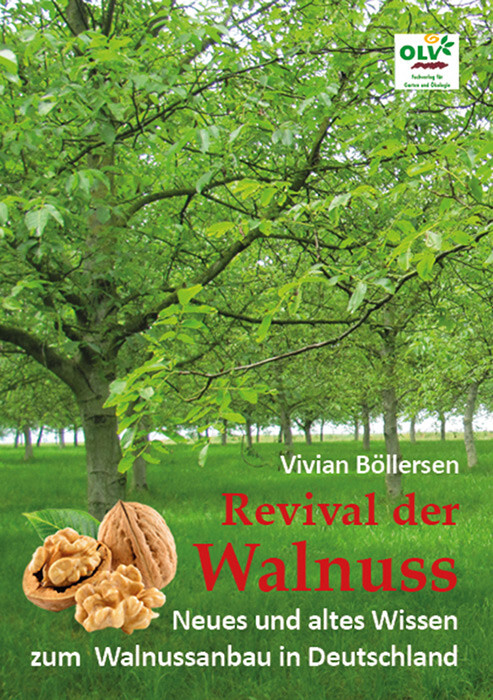 Revival der Walnuss