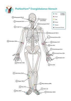 Akupunktur-Tafel Mensch