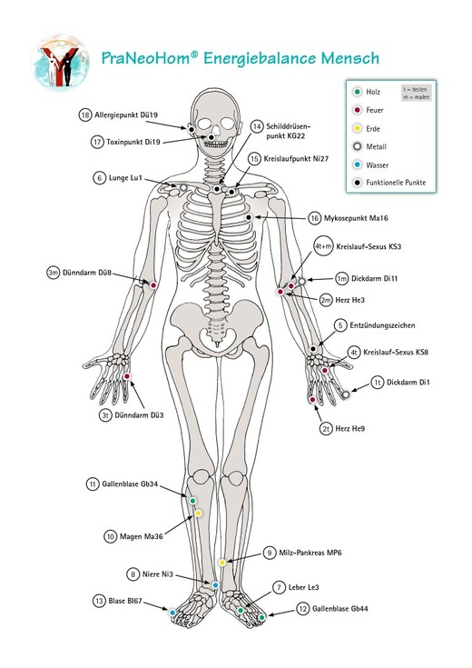 Akupunktur-Tafel Mensch Akupunktur-Tafel Mensch