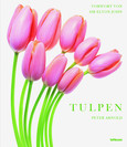 Tulpen