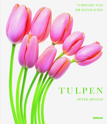 Tulpen