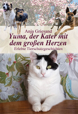 Yuma, der Kater mit dem großen Herzen