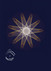 Planeten-Bewegungs-Bild Sonne- Jupiter - geozentrisch - 1 (Postkarte)