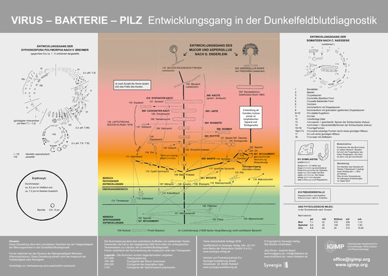 Plakat Dunkelfeld-Diagnostik - Virus - Bakterie - Pilz