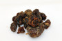 Opoponax „Hagar“ – Commiphora erythrea aus Somalia- 1. Qualität - 25g