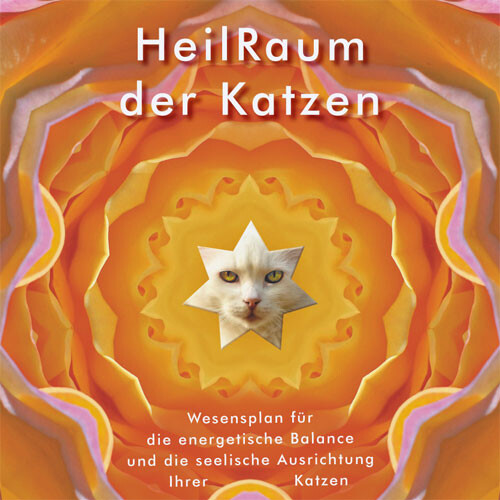 HeilRaum der Katzen