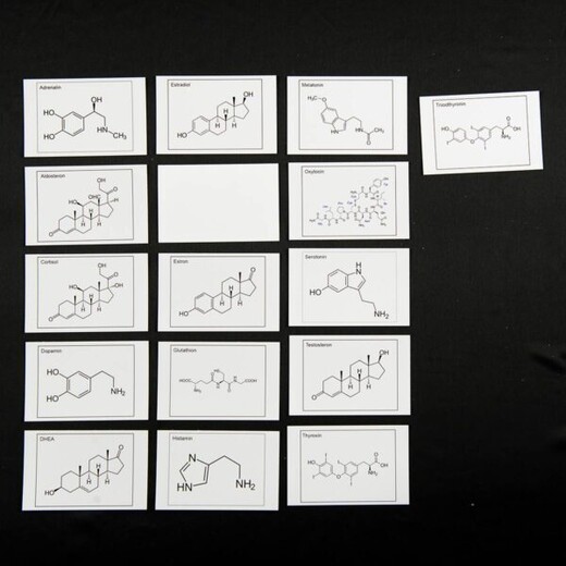 Hormonkarten Hormonkarten