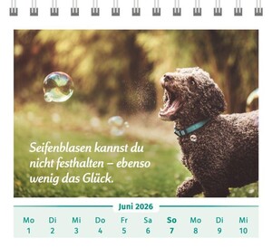 Innenansicht