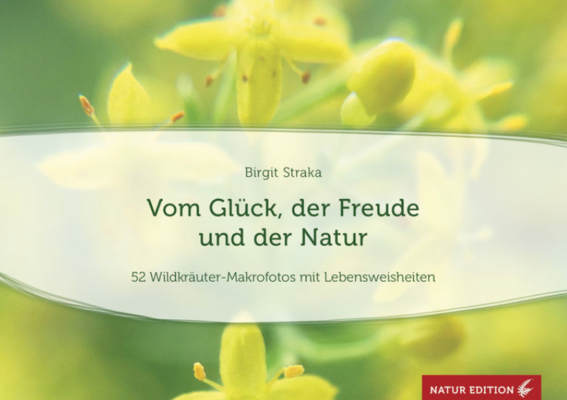 Tischaufsteller - Vom Glück, der Freude und der Natur