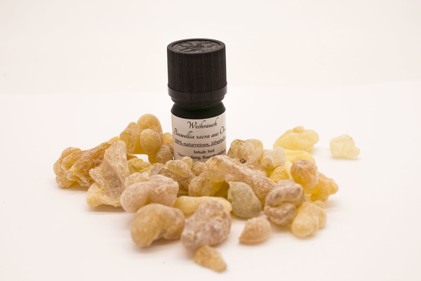 Weihrauchöl aus dem Oman - Boswellia Sacra - 5ml