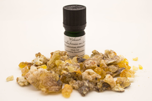 Weihrauchöl Maydi aus dem Somaliland - Boswellia frereana - 5ml