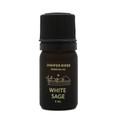 Weißer Salbei-Öl / White Sage Oil (Salvia Apiana) - ätherisches Öl - 5ml