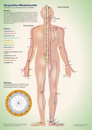 Akupunktur-Tafel A4 - Meisterpunkte