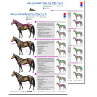 Akupunkturtafeln für Pferde, 2 Tafeln (5+6)
