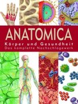 ROT // Anatomica