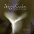 Angel Codes, 1 Audio-CD
