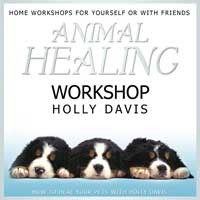 Animal Healing Workshop Audio CD