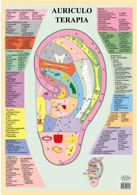 Auriculo Terapia