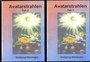 Avatarstrahlen, 2 DVD-Videos