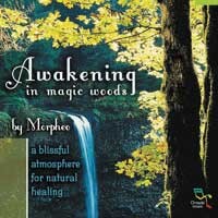 Awakening in the Magic Woods Audio CD