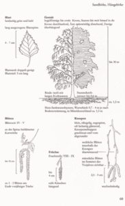 S 68 Leseprobe